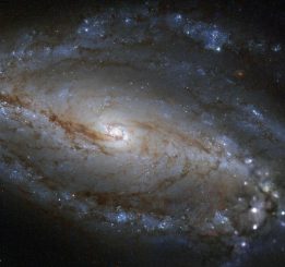 NGC 613, aufgenommen vom Weltraumteleskop Hubble. (ESA / Hubble & NASA and S. Smartt (Queens University Belfast); Acknowledgement: Robert Gendler)