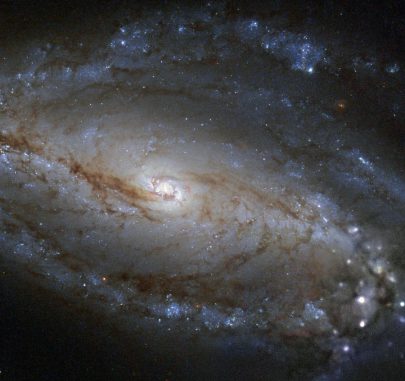 NGC 613, aufgenommen vom Weltraumteleskop Hubble. (ESA / Hubble & NASA and S. Smartt (Queens University Belfast); Acknowledgement: Robert Gendler) NGC 613, aufgenommen vom Weltraumteleskop Hubble. (ESA / Hubble & NASA and S. Smartt (Queens University Belfast); Acknowledgement: Robert Gendler)