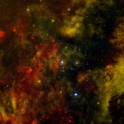 Die Sternentstehungsregion Cygnus OB2. Das Bild zeigt Röntgenemissionen, die von Chandra registriert wurden (blau), Infrarotdaten von Spitzer (rot) und optische Beobachtungen mit dem Isaac Newton Telescope (orange). (X-ray: NASA / CXC / SAO / J.Drake et al; Infrared: NASA / JPL-Caltech; Optical: Univ. of Hertfordshire / INT / IPHAS)