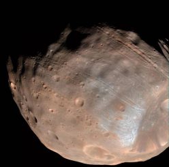 Die auffälligen Rillen auf der Oberfläche des Marsmondes Phobos können von Gezeitenkräften verursacht werden, die den Mond langsam auseinanderreißen. Unten rechts ist der große Krater Stickney zu sehen. (NASA / JPL-Caltech / University of Arizona)