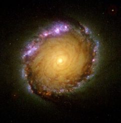 Hubble-Aufnahme des Zentralbereichs der Galaxie NGC 1512. (NASA / Space Telescope Science Institute)