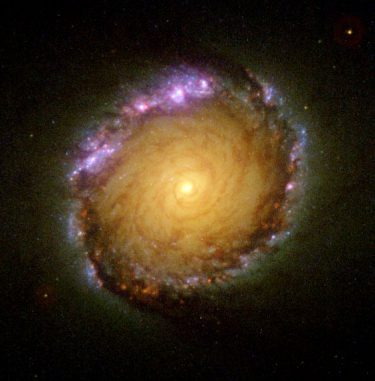 Hubble-Aufnahme des Zentralbereichs der Galaxie NGC 1512. (NASA / Space Telescope Science Institute) Hubble-Aufnahme des Zentralbereichs der Galaxie NGC 1512. (NASA / Space Telescope Science Institute)