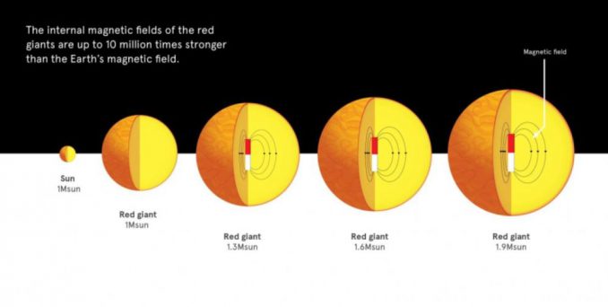 Sterne wie die Sonne blähen sich am Ende ihres Lebens auf und werden zu Roten Riesen. Rote Riesen mit 1,5-2 Sonnenmassen verfügen häufig über starke innere Magnetfelder. (University of Sydney) Sterne wie die Sonne blähen sich am Ende ihres Lebens auf und werden zu Roten Riesen. Rote Riesen mit 1,5-2 Sonnenmassen verfügen häufig über starke innere Magnetfelder. (University of Sydney)