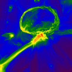 Schnappschuss aus einer Simulation der ersten Sterne im Universum. Er zeigt, wie die Gaswolke mit schweren Elementen angereichert worden sein könnte. (Image: Britton Smith, John Wise, Brian O'Shea, Michael Norman, and Sadegh Khochfar)