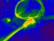 Schnappschuss aus einer Simulation der ersten Sterne im Universum. Er zeigt, wie die Gaswolke mit schweren Elementen angereichert worden sein könnte. (Image: Britton Smith, John Wise, Brian O'Shea, Michael Norman, and Sadegh Khochfar)