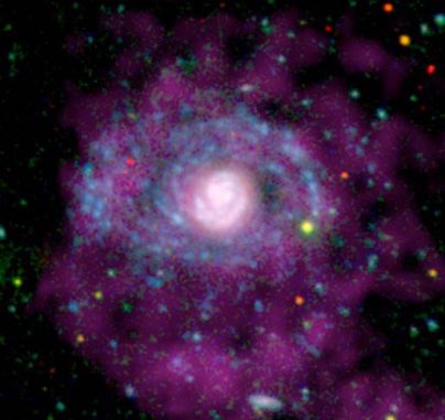 Sternentstehungsprozesse in den Außenbereichen der Spiralgalaxie NGC 4625 sind hier in ultraviolettem Licht (blau gekennzeichnet) zu sehen. In optischem Licht (rot) sind diese Arme nahezu unsichtbar, aber dort gibt es junge, heiße Sterne, die ultraviolette Strahlung abgeben. Das atomare Gas wird mit Radiowellenlängen (violett) registriert. (NASA / JPL-Caltech / Carnegie Observatories / WSRT)