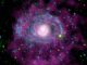 Sternentstehungsprozesse in den Außenbereichen der Spiralgalaxie NGC 4625 sind hier in ultraviolettem Licht (blau gekennzeichnet) zu sehen. In optischem Licht (rot) sind diese Arme nahezu unsichtbar, aber dort gibt es junge, heiße Sterne, die ultraviolette Strahlung abgeben. Das atomare Gas wird mit Radiowellenlängen (violett) registriert. (NASA / JPL-Caltech / Carnegie Observatories / WSRT)