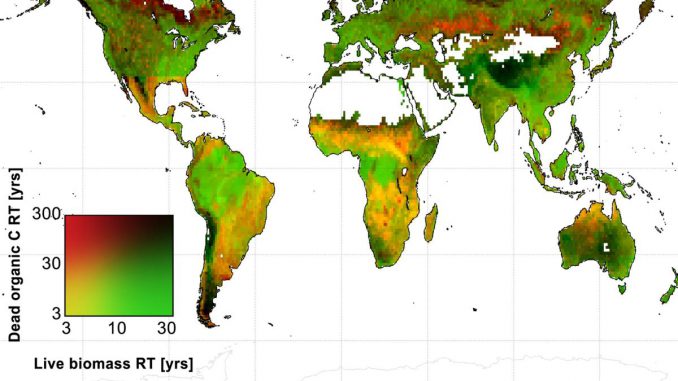 Globale Karte der durchschnittlichen Verweildauer von Kohlenstoff in lebender Biomasse und totem organischen Kohlenstoff in Kohlenstoffspeichern auf der ganzen Welt, angegeben in Jahren. (A. Anthony Bloom) Globale Karte der durchschnittlichen Verweildauer von Kohlenstoff in lebender Biomasse und totem organischen Kohlenstoff in Kohlenstoffspeichern auf der ganzen Welt, angegeben in Jahren. (A. Anthony Bloom)