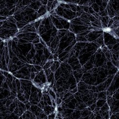 Ein Bild aus dem würfelförmigen Raumsegment, das im Rahmen des Illustris-Projekts simuliert wird. Es zeigt die Verteilung der Dunklen Materie. Die Galaxien befinden sich in den kleinen, weißen Knoten mit hoher Dichte. (Markus Haider/ Illustris collaboration)