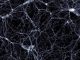 Ein Bild aus dem würfelförmigen Raumsegment, das im Rahmen des Illustris-Projekts simuliert wird. Es zeigt die Verteilung der Dunklen Materie. Die Galaxien befinden sich in den kleinen, weißen Knoten mit hoher Dichte. (Markus Haider/ Illustris collaboration)