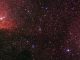 Weitfeldaufnahme der Röntgenquelle Cygnus X-1, aufgenommen im Rahmen des Digitized Sky Survey 2. (NASA, ESA, and the Digitized Sky Survey 2. Acknowledgment: Davide De Martin (ESA / Hubble))