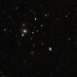 Eine optische Aufnahme des Fornax-Galaxienhaufens. (ESO and the Digitized Sky Survey 2)