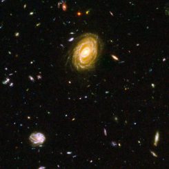 Sternbildende Galaxien im fernen Universum. (NASA, ESA and Bahram Mobasher)
