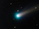 Der Komet ISON, aufgenommen am 15. November 2013 mit dem TRAPPIST-Teleskop in Chile. (TRAPPIST / E. Jehin / ESO)