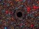 Dieses von einem Computer simulierte Bild zeigt ein supermassives Schwarzes Loch im Kern einer Galaxie. Die schwarze Region im Zentrum repräsentiert den Ereignishorizont des Schwarzen Lochs, wo kein Licht seiner Gravitationskraft entkommen kann. Die Gravitation verzerrt den Raum und das Licht der Sterne im Hintergrund. (NASA, ESA, and D. Coe, J. Anderson, and R. van der Marel (STScI))