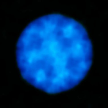 Uranus, so wie er im Submillimeterbereich aussieht. (ALMA (ESO / NAOJ / NRAO))