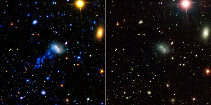 Diese Bilder zeigen die Galaxie IC 3418. Der Schweif ist allerdings nur im Ultraviolettbereich zu sehen. (NASA/JPL-Caltech)