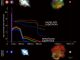 Zeitlicher Verlauf von metallarmen und metallreichen Supernovae während unterschiedlicher Phasen anhand simulierter Lichtkurven. Schockwellendurchbruch und Plateauphase sind bei metallarmen Supernovae kürzer und blauer als bei metallreichen Supernovae. (Kavli IPMU)