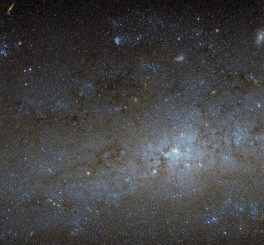 NGC 247, aufgenommen vom Weltraumteleskop Hubble. (NASA / ESA)