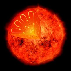 Diese Illustration zeigt das Innere eines massearmen Sterns. Solche Sterne haben einen anderen Aufbau als unsere Sonne und sollten keine magnetischen Aktivitätszyklen aufweisen. (NASA / CXC / M.Weiss)