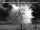 Partikeljets bei einer Explosion (D. Frost)