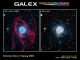 Die Pinwheel-Galaxie M83 in Ultraviolett (rechts) und ein Kompositbild von ihr in UV- und Radiowellenlängen (links) (NASA / JPL-Caltech / VLA / MPIA)