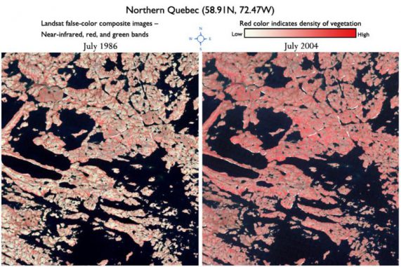 Ein Vergleich derselben Region in Quebec zwischen 1986 (links) und 2004 zeigt eine dichtere gewordene Vegetation (Jeff Masek)