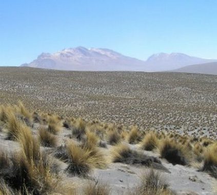Eines der von den Forschern untersuchten Trockengebiete war diese Region in Peru (David Eldridge et al.) Eines der von den Forschern untersuchten Trockengebiete war diese Region in Peru (David Eldridge et al.)
