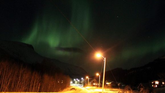 Nordlicht über Bjerkvik, Norwegen (Frode Nikolaisen)