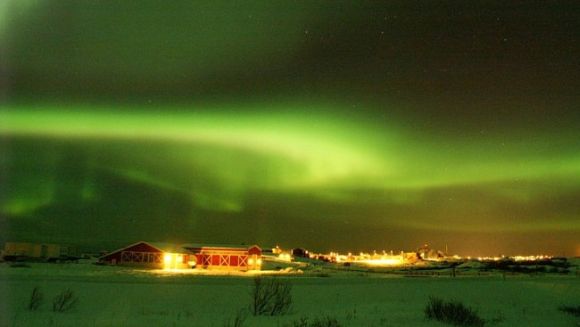 Nordlicht über Andøya, Norwegen (Harald Pedersen)