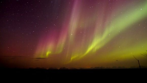 Nordlicht über der Insel Senja, Norwegen (Anette Jensen)