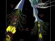 Hierarchische Struktur der Spinnenseide (Zina Deretsky (National Science Foundation), in collaboration with S. Cranford, G. Bratzel and M. J. Buehler (MIT), and Rihcard C. Yu and Andaluz Yu of Green Pacific Biologicals)