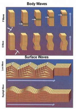 Verschiedene Typen seismischer Wellen (USGS)