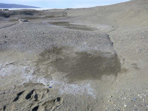 Diese feuchten Bodenstellen in den McMurdo Dry Valleys werden durch salzige Böden verursacht, die Wasser aus der Atmosphäre abziehen. (Photo courtesy of Joseph Levy, Oregon State University)