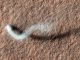 Ein Staubteufel wirft einen geschwungenen Schatten auf die Marsoberfläche. (NASA / JPL-Caltech / Univ. of Arizona)