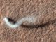 Ein Staubteufel wirft einen geschwungenen Schatten auf die Marsoberfläche. (NASA / JPL-Caltech / Univ. of Arizona)