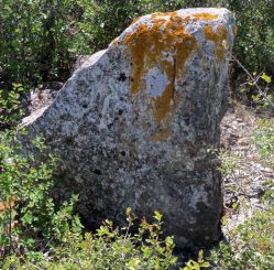 Menhir in Glastonbury, England. Deutlich erkennbar ist der auffällige Schlitz im oberen Teil des Felsens. (G. Ruhtra - für den richtigen Bildnachweis siehe den Link am Ende des Artikels)