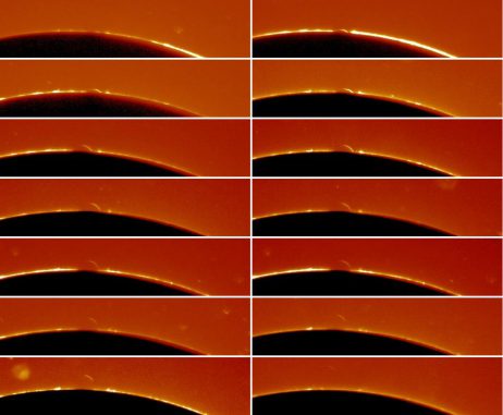 Der Venusbogen während des Transits im Jahr 2004, aufgenommen von dem Amateur-Astronom André Rondi mit einem 10-cm-Refraktor. (André Rondi)