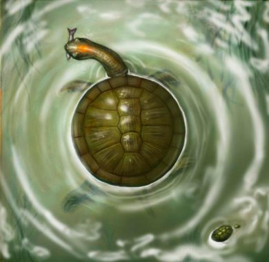 Künstlerische Darstellung der prähistorischen Schildkröte Puentemys mushaisaensis. (Illustration by Liz Bradford) Künstlerische Darstellung der prähistorischen Schildkröte Puentemys mushaisaensis. (Illustration by Liz Bradford)