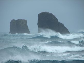 Felsen vor der Fildes-Halbinsel, King George Island / Antarktis (BAS / CSIRO)