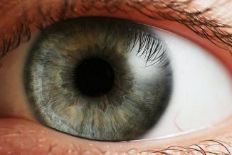 Ein menschliches Auge. (Wikipedia / User: che / CC BY-SA 2.5)