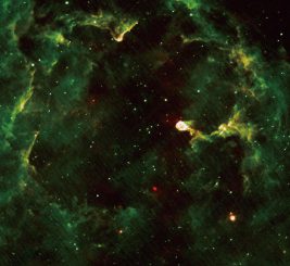 Der Emissionsnebel IC 1396, aufgenommen vom Weltraumteleskop AKARI. (JAXA)