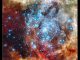Die Sternentstehungsregion 30 Doradus, aufgenommen vom Weltraumteleskop Hubble. Die Sternhaufen, die sich offenbar kurz vor einer Verschmelzung befinden, sind markiert. (NASA, ESA, and E. Sabbi (ESA / STScI) Acknowledgment: R. O'Connell (University of Virginia) and the Wide Field Camera 3 Science Oversight Committee)