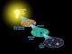 Schematische Darstellung von der Entwicklung des Universums nach der gängigen Urknall-Theorie. (NASA / WMAP Science Team)