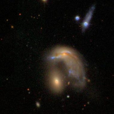 Freiwillige Teilnehmer des Galaxy Zoo Projekts haben unter anderem diese Pinguin-förmige Galaxie entdeckt. (SDSS) Freiwillige Teilnehmer des Galaxy Zoo Projekts haben unter anderem diese Pinguin-förmige Galaxie entdeckt. (SDSS)