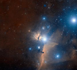 Der Pferdekopfnebel (unterhalb der Bildmitte), der Flammennebel (in der Bildmitte) und zwei Gürtelsterne des Orion (Alnitak nahe der Bildmitte und Alnilam oben rechts). (ESO and Digitized Sky Survey 2. Acknowledgment: Davide De Martin)
