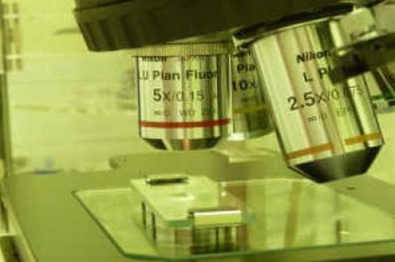 Eine Probe des Asteroiden Itokawa unter dem Mikroskop. (University of Manchester) Eine Probe des Asteroiden Itokawa unter dem Mikroskop. (University of Manchester)