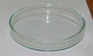 Petrischale aus Glas. (Wikipedia / User: Miaow / CC BY-SA 3.0)