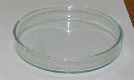 Petrischale aus Glas. (Wikipedia / User: Miaow / CC BY-SA 3.0) Petrischale aus Glas. (Wikipedia / User: Miaow / CC BY-SA 3.0)