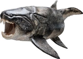 3D-Rekonstruktion des Placodermen Dunkleosteus. (Esben Horn, 10tons; supervised by Martin Rücklin, John Long and Philippe Janvier)